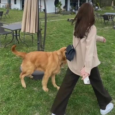 寻找法蒂玛
