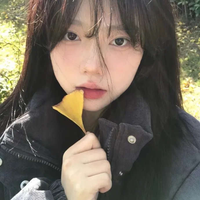 豹